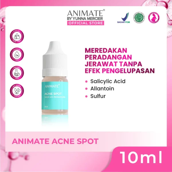 Obat Totol Jerawat Ampuh Acne Spot 10ml