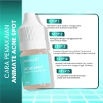 Obat Totol Jerawat Ampuh Acne Spot 10ml